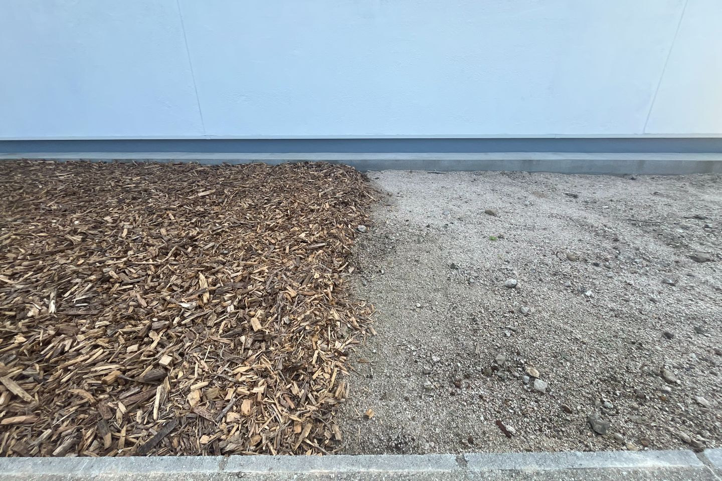 チップを敷いた場所と土のままの場所の分け目
